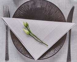 SERVILLETAS P.P.GAMA HILO 40X40 1/4 BLANCA + HILO GRIS