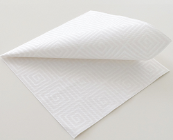 SERVILLETAS AIRLAID BIO GAMA GRECA 40X40 BLANCA+GRECA BLANCA