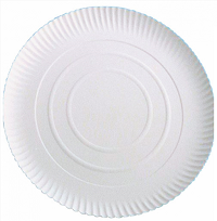 PLATO DE CARTON 28 CMS BLANCO 320.43